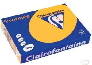 Clairefontaine Trophée Intens gekleurd papier A4 120 g 250 vel zonnebloemgeel